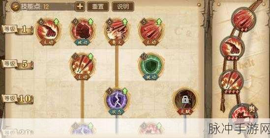 航海王燃烧意志，无敌阵容攻略秘籍