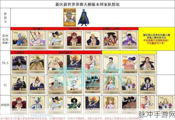 航海王燃烧意志，无敌阵容攻略秘籍