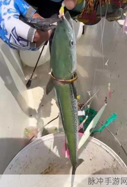 天天农场中小熊猫钓鱼杆的神奇用途