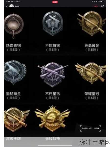 和平精英段位等级全解析，带你称霸战场