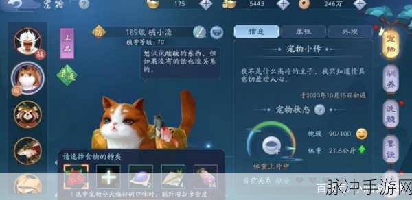 新笑傲江湖手游坐骑获取秘籍大公开