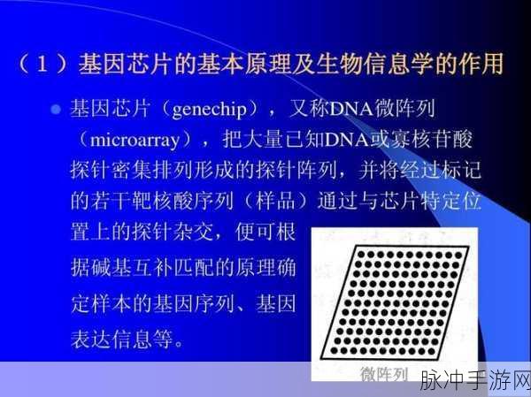 脑部科技探秘，活体脑细胞芯片凝胶电池精准定位