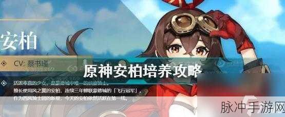 原神安柏培养全攻略，助力你的冒险之旅