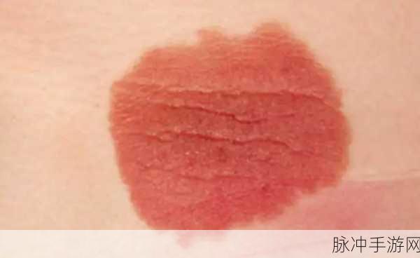 鬼谷八荒红色先天气运全解析
