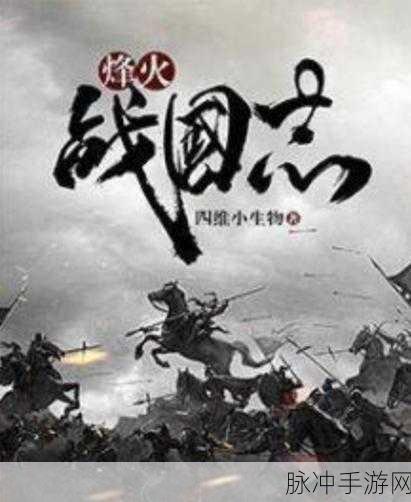 战国志，光速冲级秘籍大公开