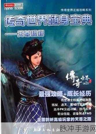 战国志，光速冲级秘籍大公开