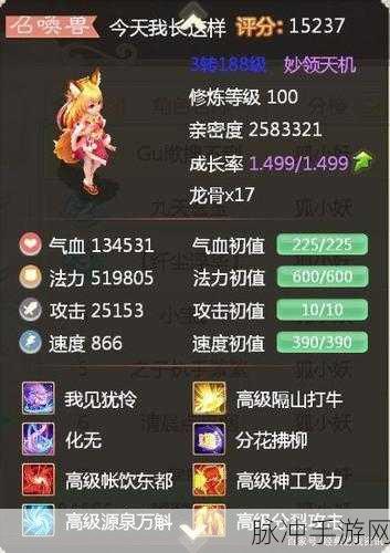 大话西游手游，血宠精选指南，称霸战场必备