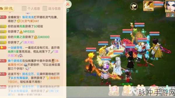 大话西游手游，血宠精选指南，称霸战场必备