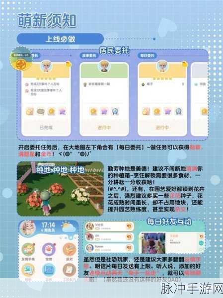 心动小镇加好友功能的期待与解析