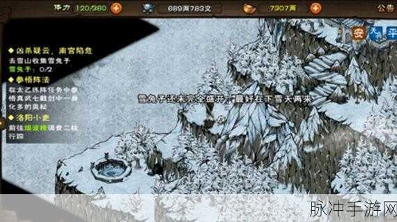 烟雨江湖雪兔子位置全攻略，探寻雪山奇珍的奥秘