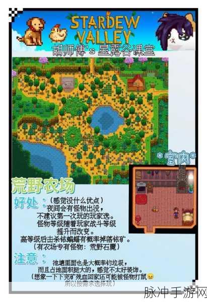 星露谷物语开局攻略，新手如何智慧选择农场