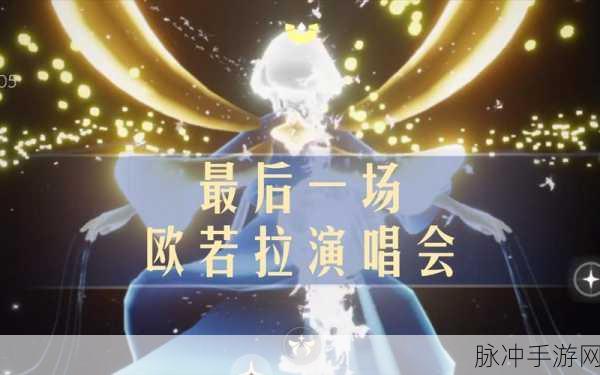 光遇欧若拉季音乐会，精彩活动全解析