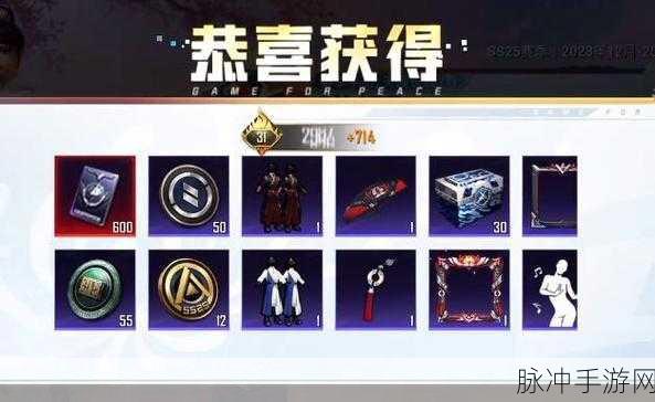 和平精英 SS25 赛季手册套装全揭秘