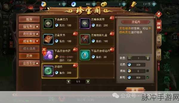 手游秘籍，突破重围的致胜策略
