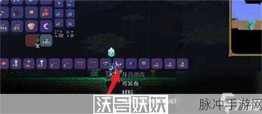 泰拉瑞亚手游攻略，揭秘月光贝壳的获取之道