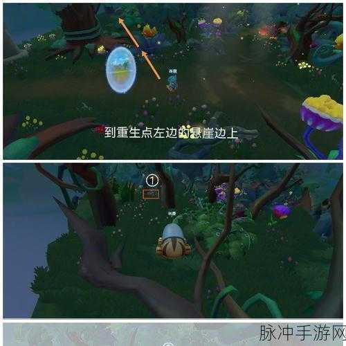 摩尔庄园手游黑森林宝箱全攻略，宝箱位置一览