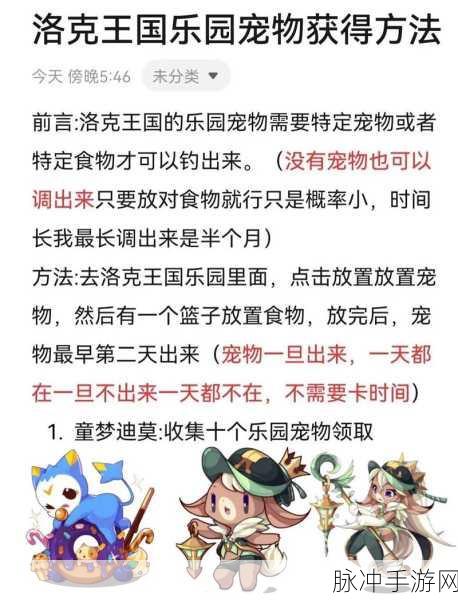 洛克王国，甜心梦梦吸引物品全攻略
