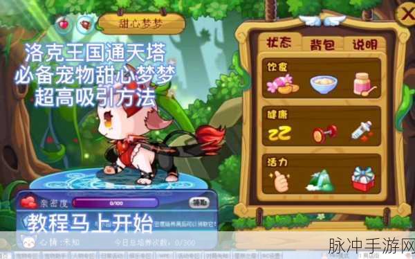 洛克王国，甜心梦梦吸引物品全攻略