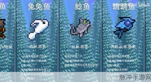 泰拉瑞亚渔夫任务提交方式与详细步骤全解析