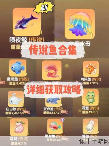 摩尔庄园手游，揭秘魔鳉鱼的垂钓秘境