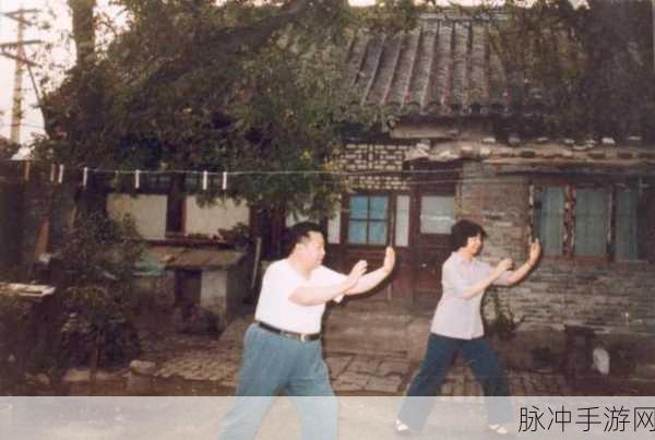 原神探索奇遇，揭秘四方八方之网红尾鼬的捕捉秘籍