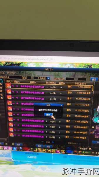 地下城与勇士DNF，深度解析金币寄售与拍卖行问题