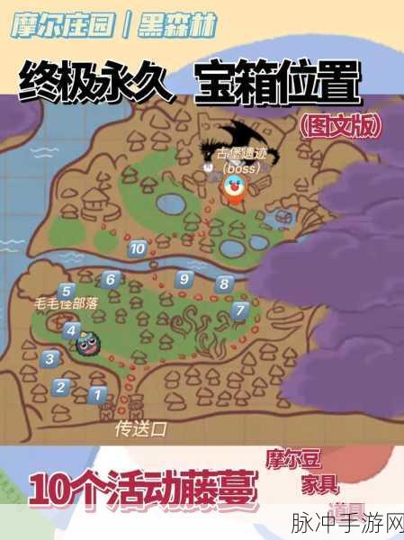 摩尔庄园手游黑森林地图宝箱位置全攻略