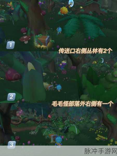 摩尔庄园手游黑森林地图宝箱位置全攻略