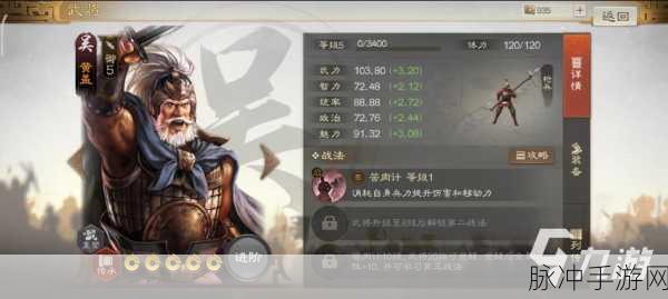 三国志战棋版严颜阵容搭配全攻略