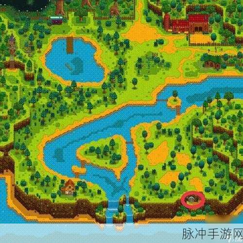 星露谷物语神秘森林的探秘指南