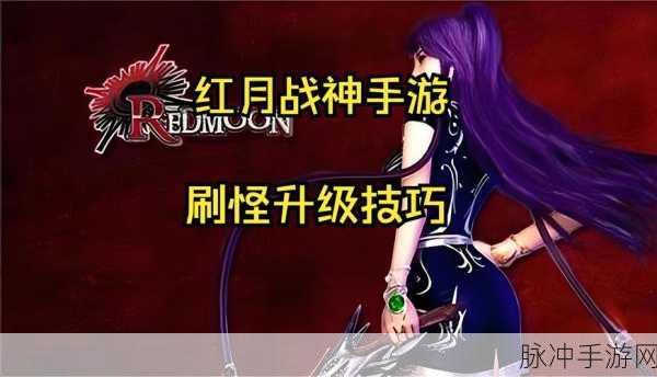手游秘籍，畅玩游戏 称霸战场