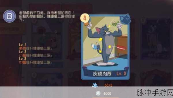 猫和老鼠手游黑猫布奇知识卡搭配攻略
