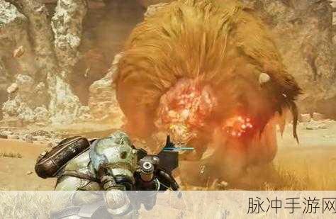怪物猎人P3，探寻最佳狩猎笛的奥秘