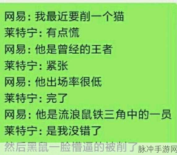 猫和老鼠手游攻略，黑猫布奇知识卡搭配全解析