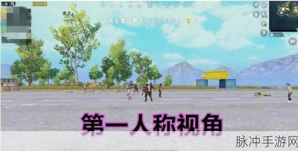 和平精英零点巡航解除全攻略，手游公司视角的深度解析
