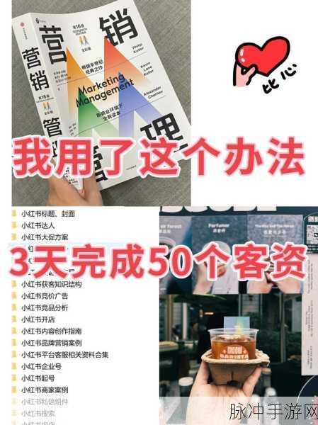 独门秘籍大公开，智慧玩法揭秘与自动喊话设置，助你登顶游戏巅峰