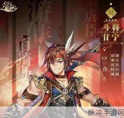 少年三国志 2 幼麟姜维的绝佳搭配与替换策略