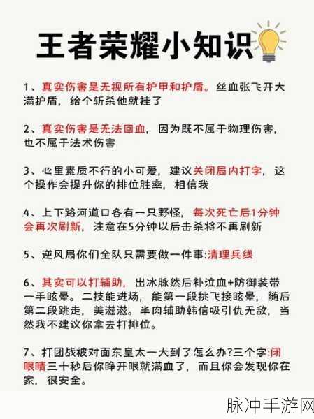 王者荣耀深度解析，真实伤害全面解读