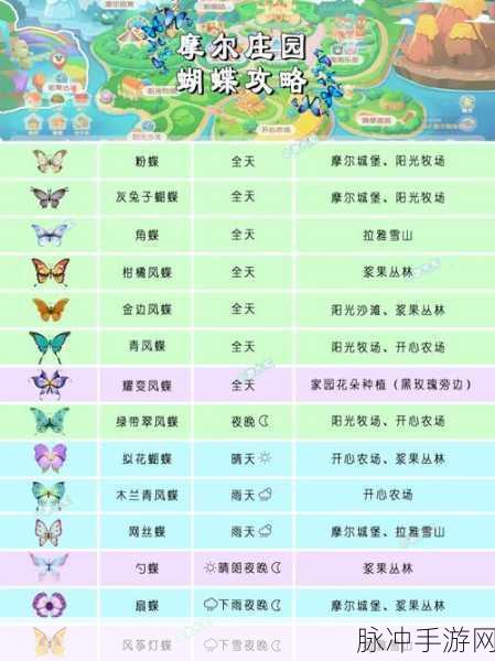 摩尔庄园手游小镇管理功能全解析