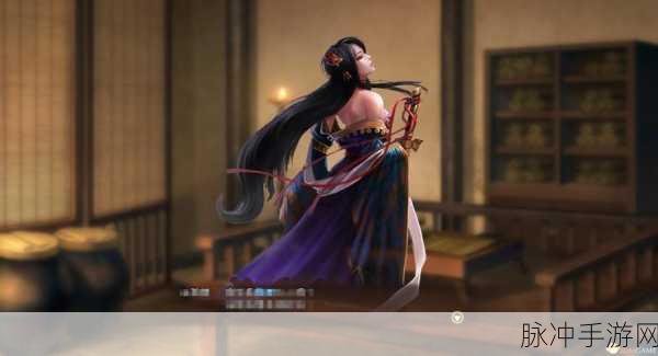 三国志 13 后期称霸秘籍，速推策略全解析