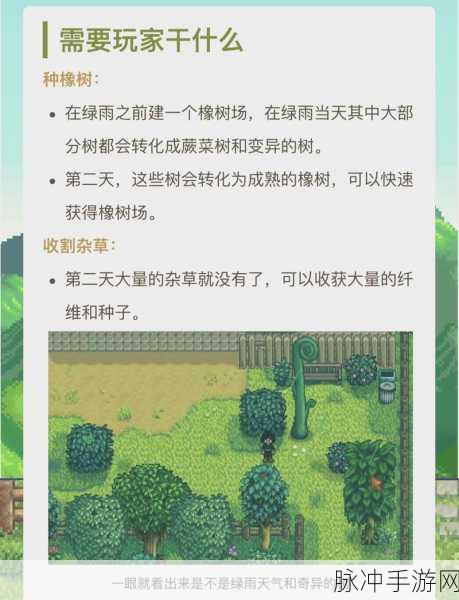 星露谷物语，蕨菜采集方法与获取攻略详解