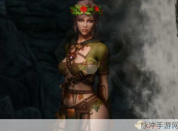 上古卷轴 5 手游，深入解析两个随从 Mod 的疑难杂症