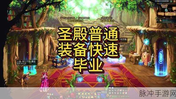 DNF2020圣职者职业深度对比，哪个职业更胜一筹？