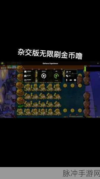 植物大战僵尸刷钱秘籍，那些年的金币获取之道
