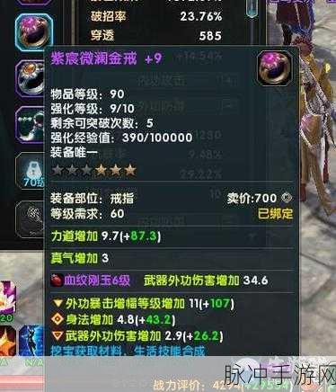 射雕 zero 满级百杖玩法全方位深度剖析