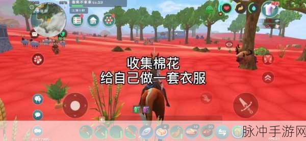 创造与魔法，棉花采集攻略大揭秘