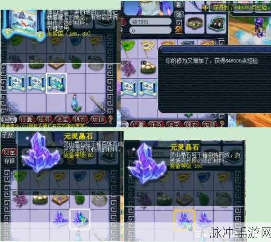 梦幻西游挖宝技巧全解析，助你寻宝之旅满载而归