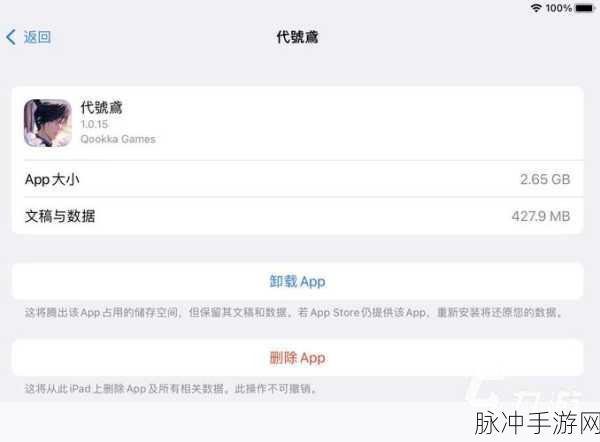 代号鸢更新问题与黑屏闪退解决方案全攻略