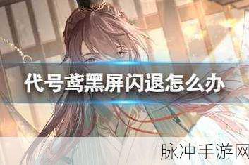 代号鸢更新问题与黑屏闪退解决方案全攻略