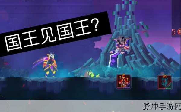 重生细胞手游攻略，解锁国王皮肤的全面指南